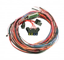 EMS-4 96" Wiring Harness with Fuse & Relay Panel