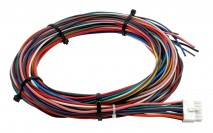 Wiring Harness for V2 Controller with Internal MAP Sensor - Standard or HD