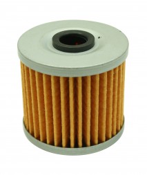High Volume Fuel Filter Element (Replacement) for 25-200BK
